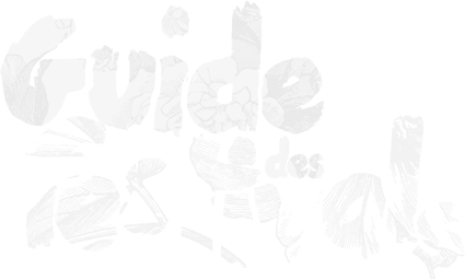 Guide des festivals