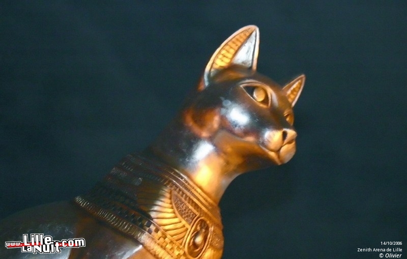 Grande Nuit Polytech&rsquo;Lille à Grand Palais en live - photo n°28