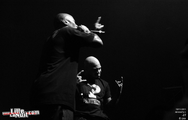 Les Amateurs + Kaotik + 1995 + ONYX – Festival Hip Hop Dayz #11 en live - photo n°8