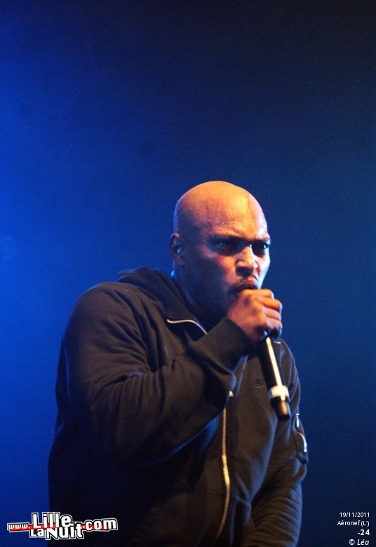 Les Amateurs + Kaotik + 1995 + ONYX – Festival Hip Hop Dayz #11 en live - photo n°26
