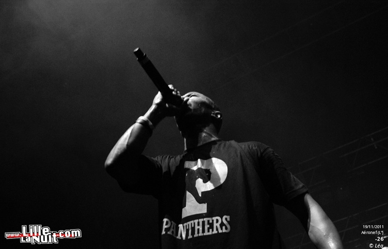 Les Amateurs + Kaotik + 1995 + ONYX – Festival Hip Hop Dayz #11 en live - photo n°10