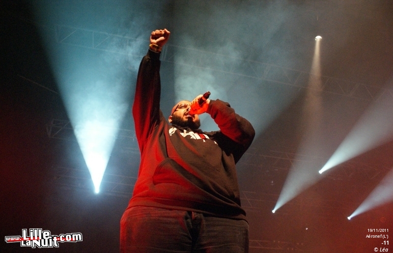 Les Amateurs + Kaotik + 1995 + ONYX – Festival Hip Hop Dayz #11 en live - photo n°19