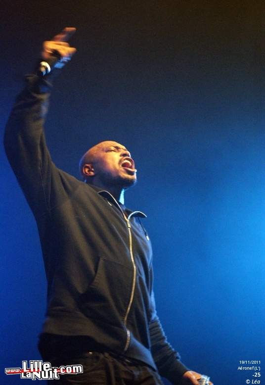 Les Amateurs + Kaotik + 1995 + ONYX – Festival Hip Hop Dayz #11 en live - photo n°4