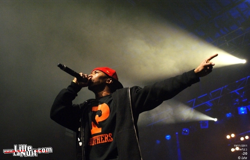 Les Amateurs + Kaotik + 1995 + ONYX – Festival Hip Hop Dayz #11 en live - photo n°15