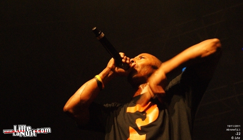 Les Amateurs + Kaotik + 1995 + ONYX – Festival Hip Hop Dayz #11 en live - photo n°16