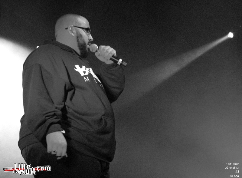Les Amateurs + Kaotik + 1995 + ONYX – Festival Hip Hop Dayz #11 en live - photo n°6