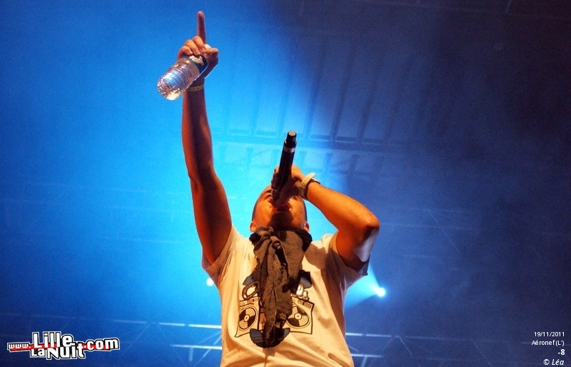 Les Amateurs + Kaotik + 1995 + ONYX – Festival Hip Hop Dayz #11 en live - photo n°22