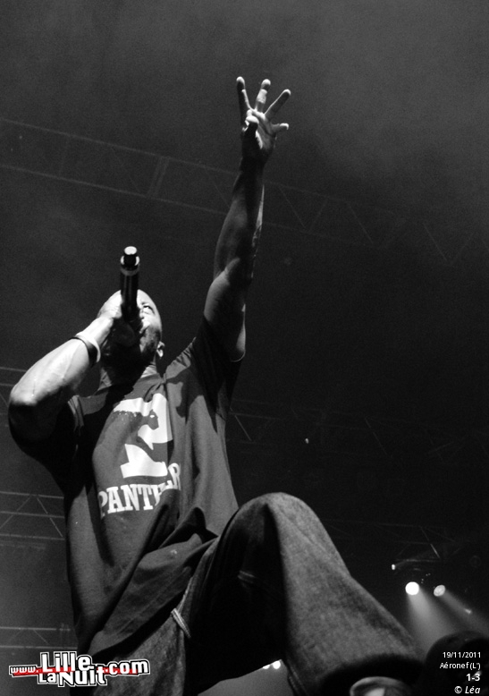Les Amateurs + Kaotik + 1995 + ONYX – Festival Hip Hop Dayz #11 en live - photo n°18