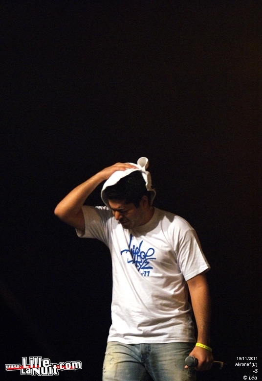 Les Amateurs + Kaotik + 1995 + ONYX – Festival Hip Hop Dayz #11 en live - photo n°25