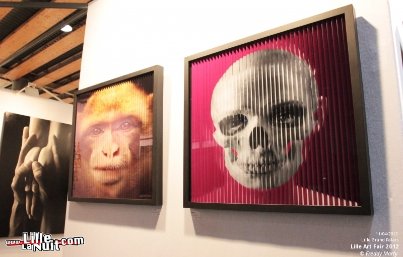 Lille Art Fair à Lille Grand Palais en live - photo n°14