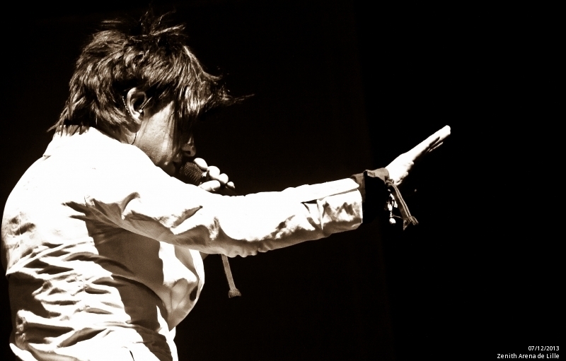 Indochine au Zénith de Lille en live - photo n°23
