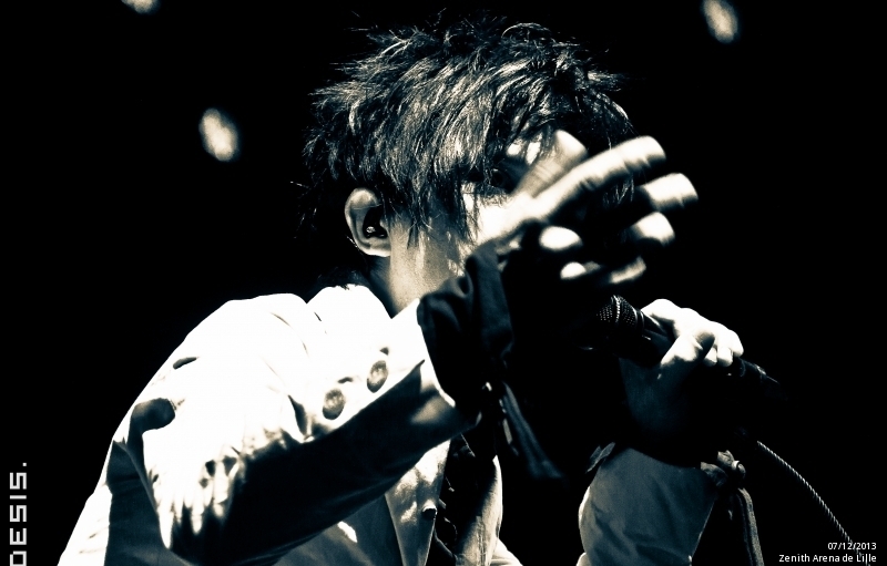 Indochine au Zénith de Lille en live - photo n°11
