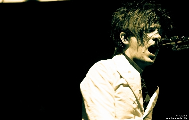 Indochine au Zénith de Lille en live - photo n°10