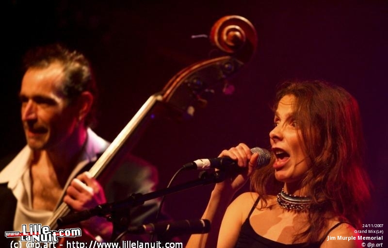 Allo Caroline et Les Ogres de Barback [festival Les Enchanteurs] à Grenay en live - photo n°3