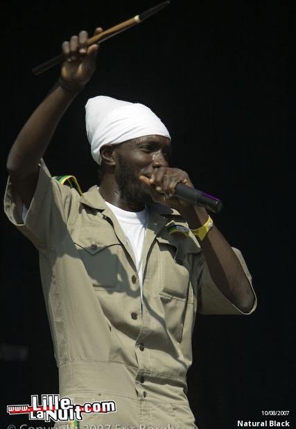 Reggae Sun Dance à Eindhoven en live - photo n°41
