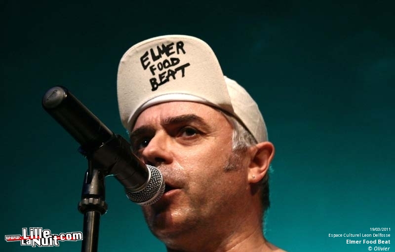 Elmer Food Beat + Les rebois un coup t’auras moins soif à Billy Montigny – Les Enchanteurs en live - photo n°20