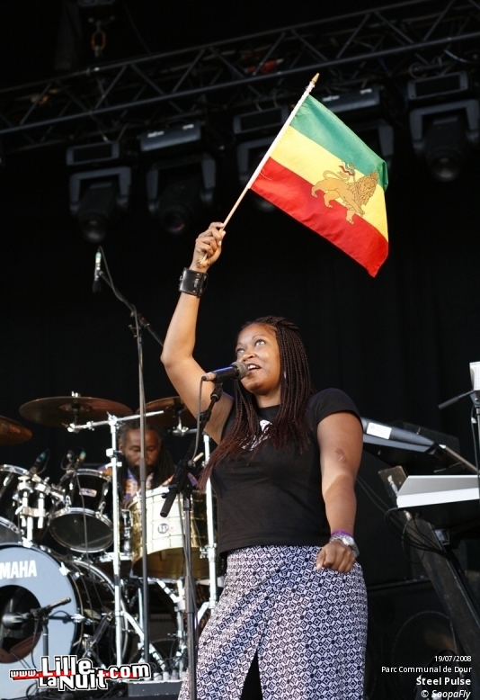 Dour Festival 2008 [Jour 3] en live - photo n°13