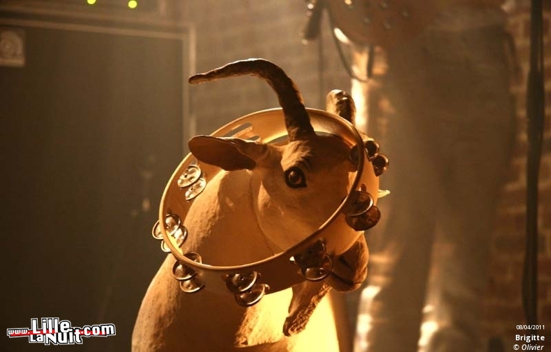 Brigitte au Poche de Béthune en live - photo n°10