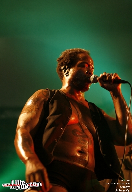 Dour Festival 2008 [Jour 2] en live - photo n°4