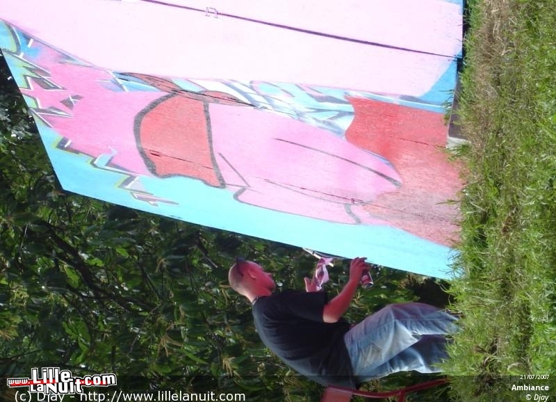 Les Vieilles Charues 2007 en live - photo n°10