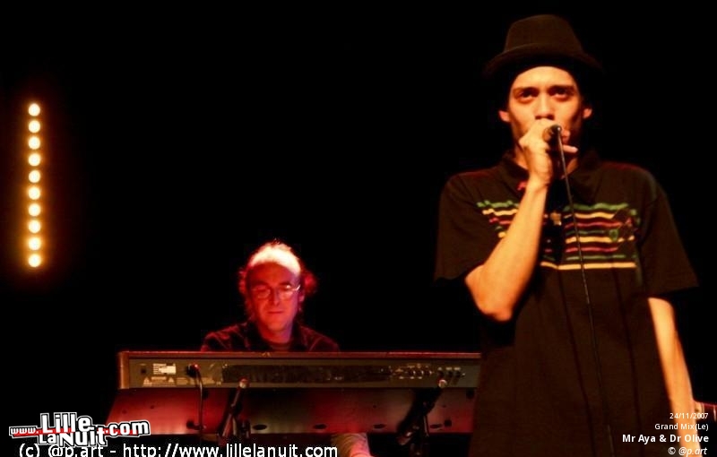 Têtes Raides + Melissmel à l’Aéronef en live - photo n°8