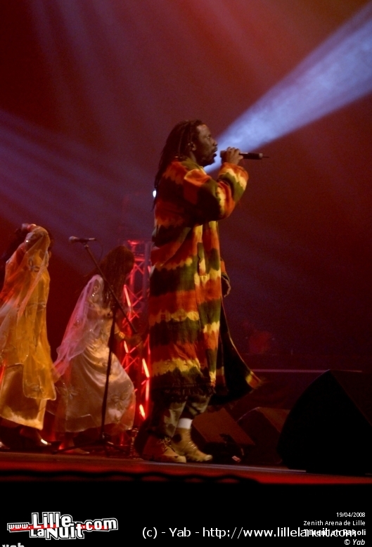 Tiken Jah Fakoli, Gentleman et Groundation [Paradis Artificiels] au Zénith en live - photo n°17