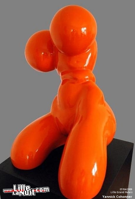 Lille Art Fair 2009 en live - photo n°4