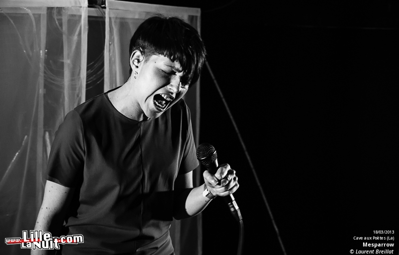 Mesparrow + Liesa Van Der Aa à la Cave aux Poètes – Festival Les Femmes s’en Mêlent en live - photo n°6