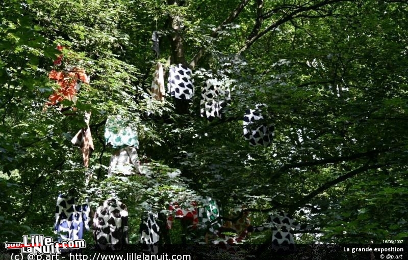 Festival « les 400 clous » en live - photo n°12