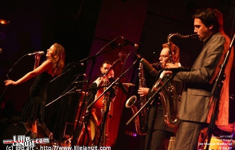 Allo Caroline et Les Ogres de Barback [festival Les Enchanteurs] à Grenay en live - photo n°4