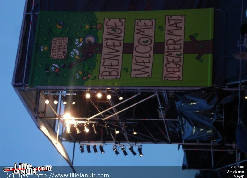 Les Vieilles Charues 2007 en live - photo n°3