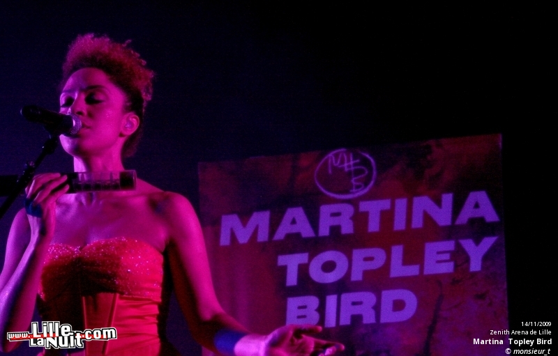 Massive Attack au Zénith en live - photo n°17