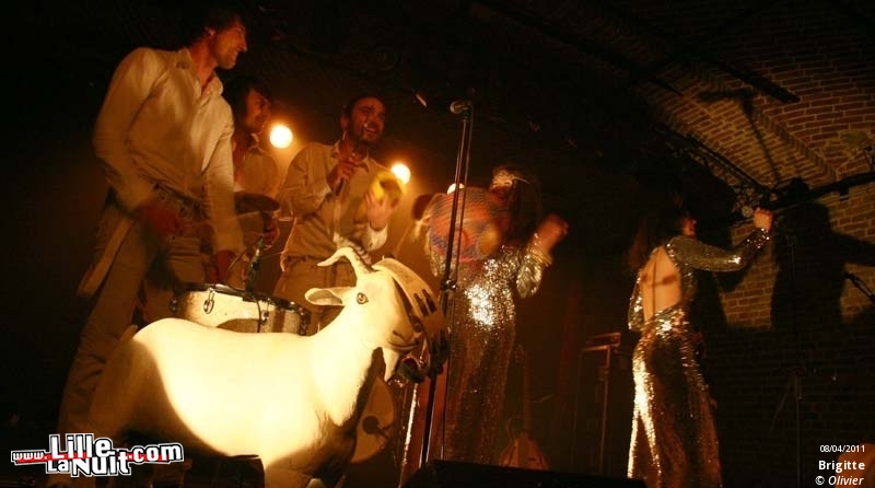 Brigitte au Poche de Béthune en live - photo n°1