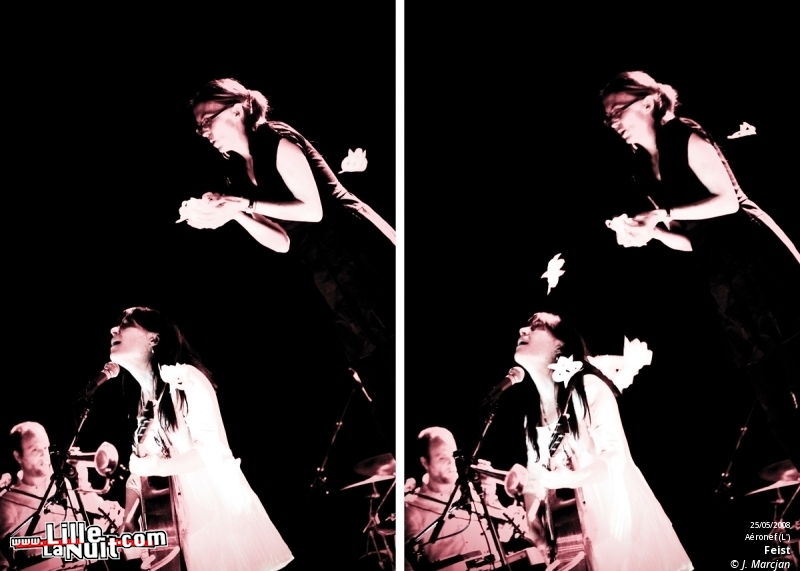 Feist & Lawrence Arabia à l’Aéronef en live - photo n°1