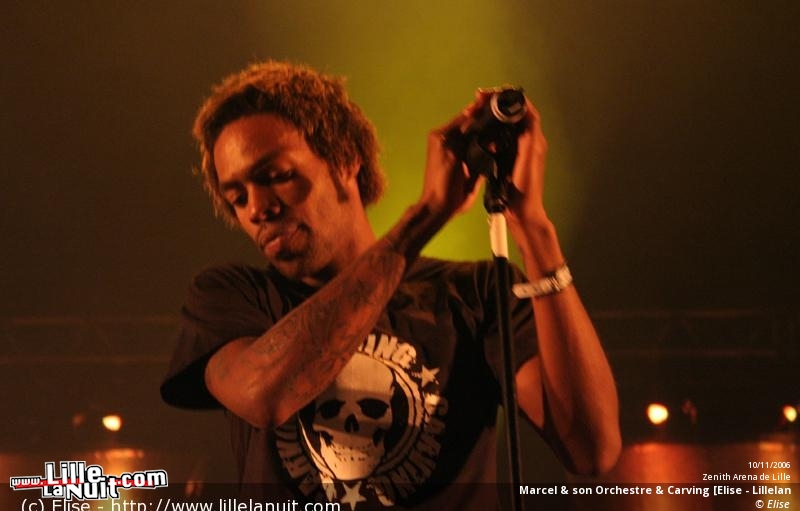 Marcel & son Orchestre + guests au Zénith en live - photo n°48