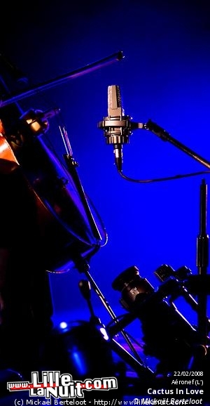 Cactus In Love à l’Aéronef en live - photo n°1