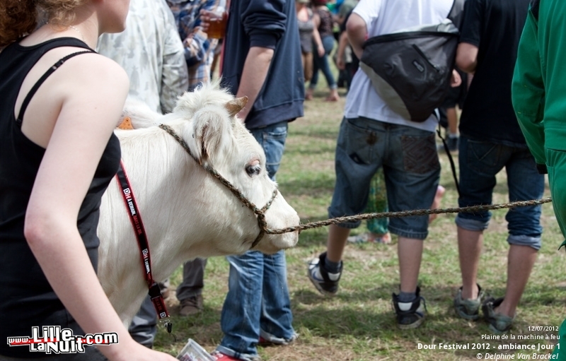 Dour Festival 2012 – Ambiance en live - photo n°62