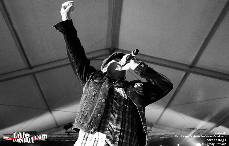 Kill For Peace + TARAKANY ! + The Mahones… – Festival Zikenstock en live - photo n°12