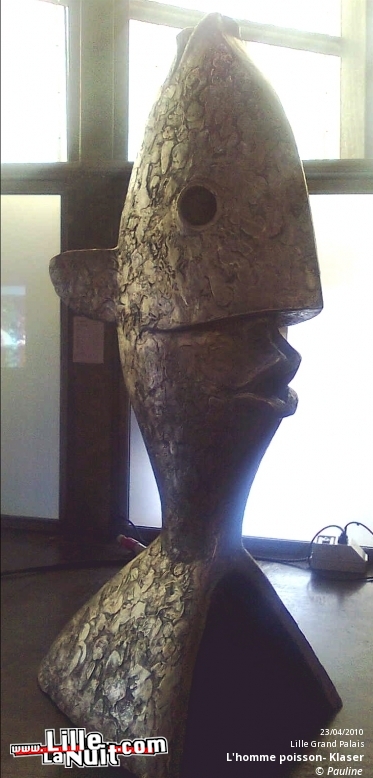 Lille Art Fair 2010 en live - photo n°10