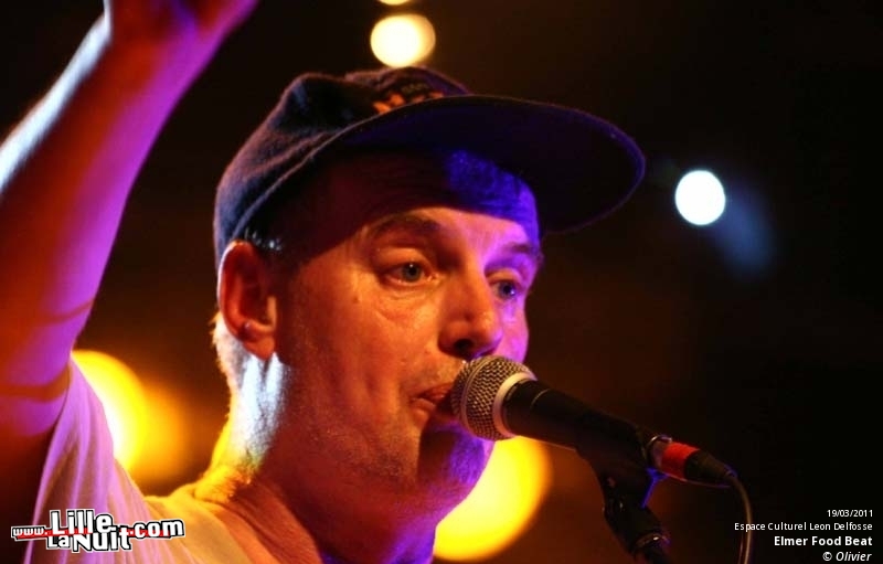 Elmer Food Beat + Les rebois un coup t’auras moins soif à Billy Montigny – Les Enchanteurs en live - photo n°8