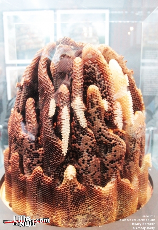 Exposition Babel au Palais des Beaux-Arts en live - photo n°10