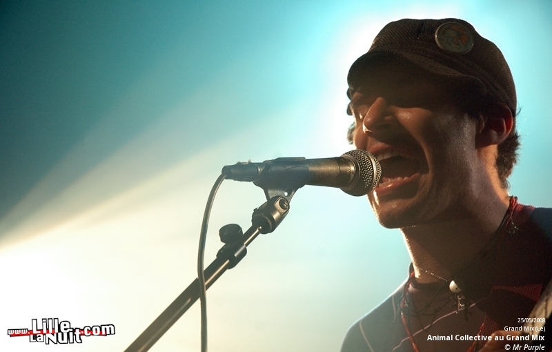 Animal Collective et Atlas Sound au Grand Mix en live - photo n°8