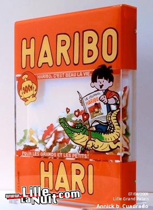 Lille Art Fair 2009 en live - photo n°1