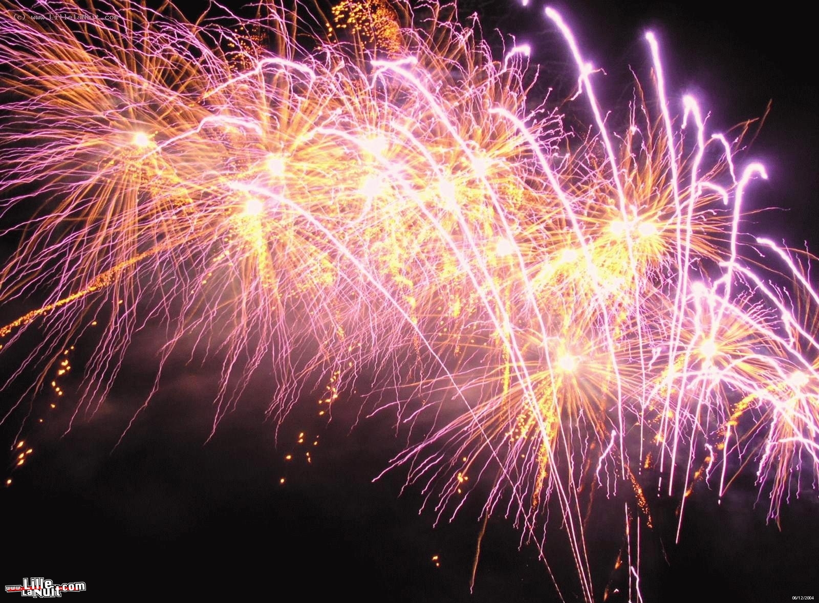Soirée d’ouverture de Lille 2004 en live - photo n°9