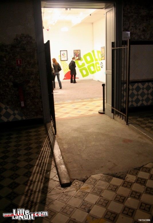 Nouvelle Vague à la Condition Publique en live - photo n°26