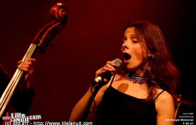 Allo Caroline et Les Ogres de Barback [festival Les Enchanteurs] à Grenay en live - photo n°5