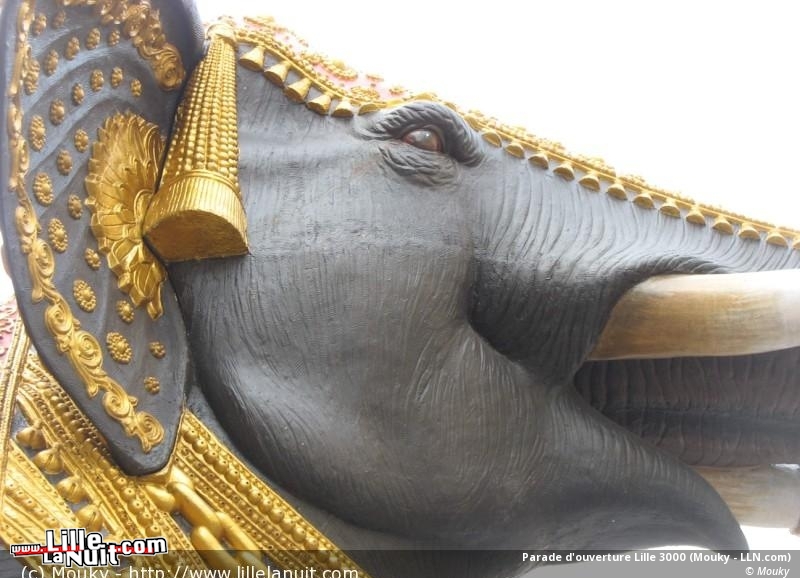 Parade d&rsquo;ouverture de Lille 3000 en live - photo n°22