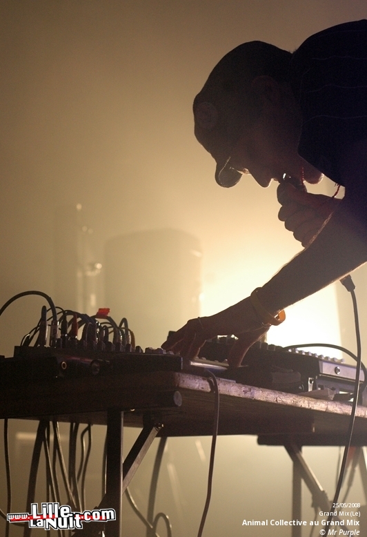 Animal Collective et Atlas Sound au Grand Mix en live - photo n°13