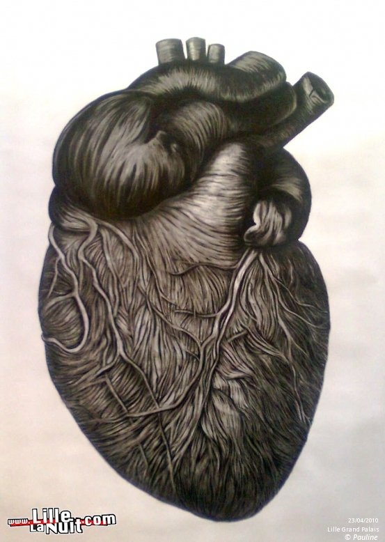 Lille Art Fair 2010 en live - photo n°2