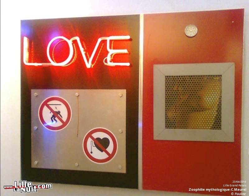 Lille Art Fair 2010 en live - photo n°7